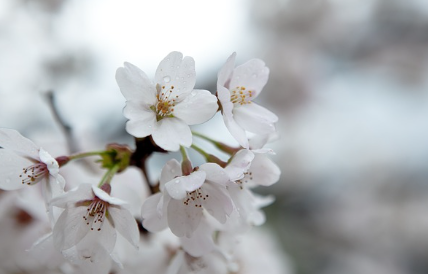 화담숲-예약-방법