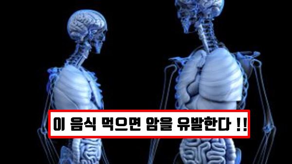 인체 신비