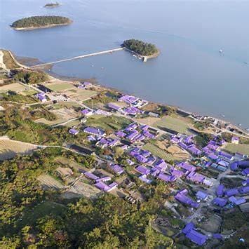 퍼플섬 라벤더축제