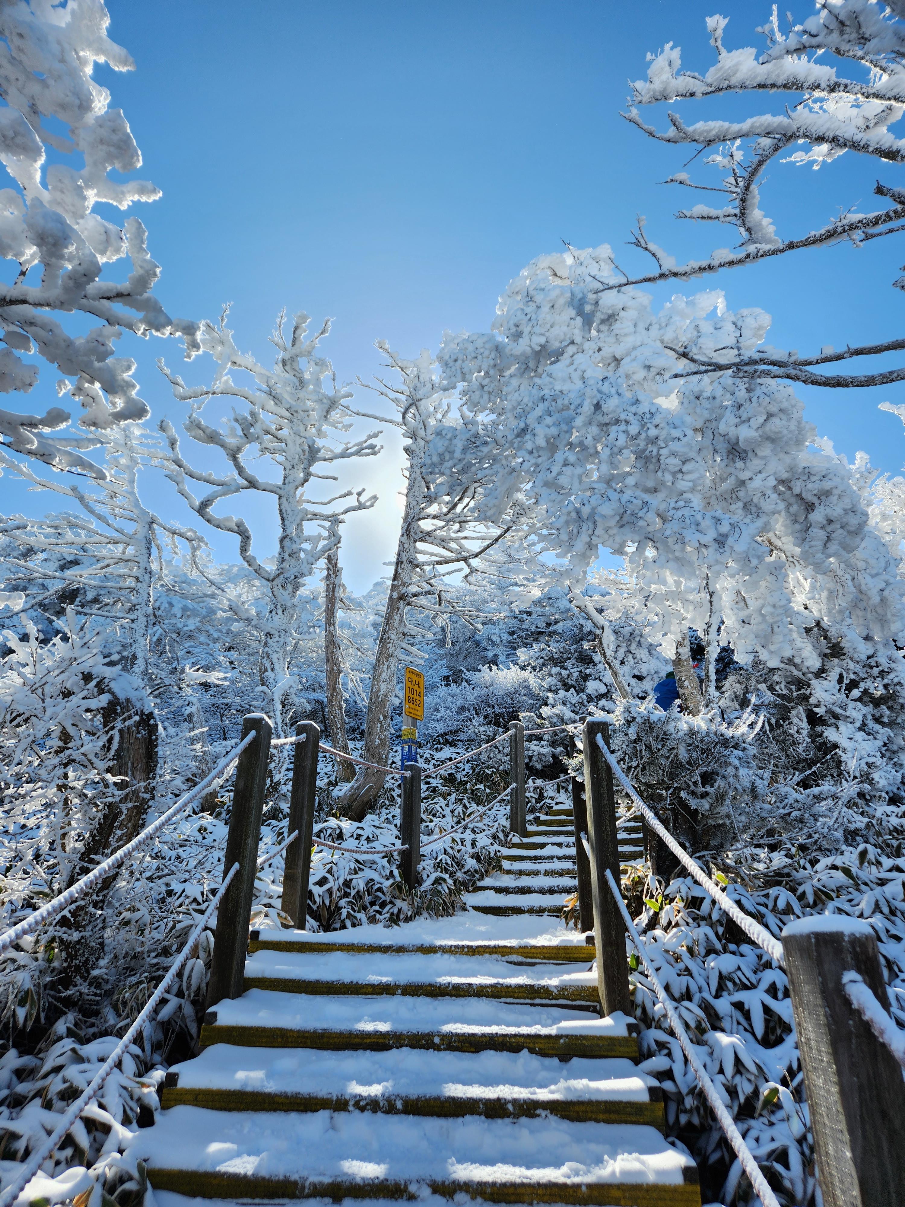 제주도 렌트카 비교사이트