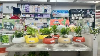 다이소 화분 활용 배수구멍 만들기 받침 사용 흙선택 예산절약 팁_13