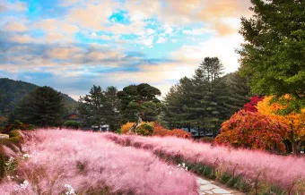 아침고요수목원 입장료 근처 맛집 펜션 추천_3
