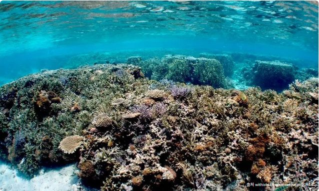 미야코지마 여행,미야코지마 직항,미야코지마 숙소,미야코지마 렌트카,미야코지마 호텔,미야코지마 스노클링,미야코지마 날씨