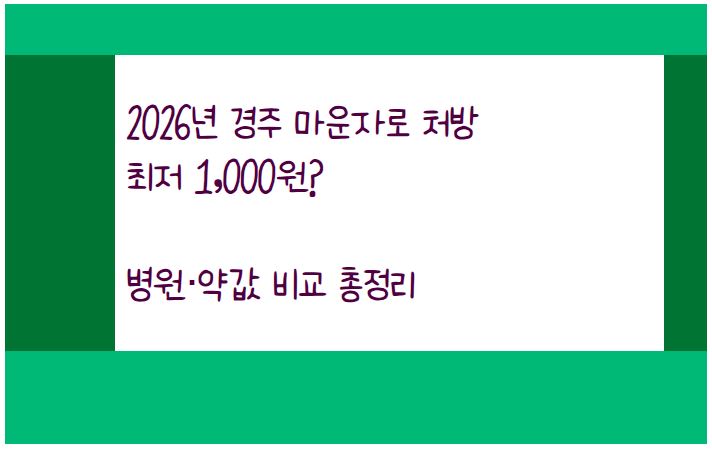 2026년 경주 마운자로 처방 최저 1,000원? 병원·약값 비교 총정리