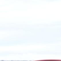 일론 머스크 창당 선언! 미국 정치 격변 예고