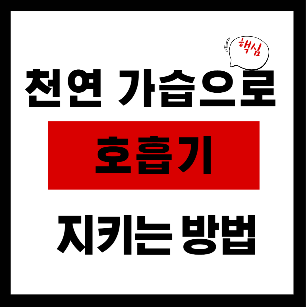 천연 가습으로 호흡기 지키는 방법