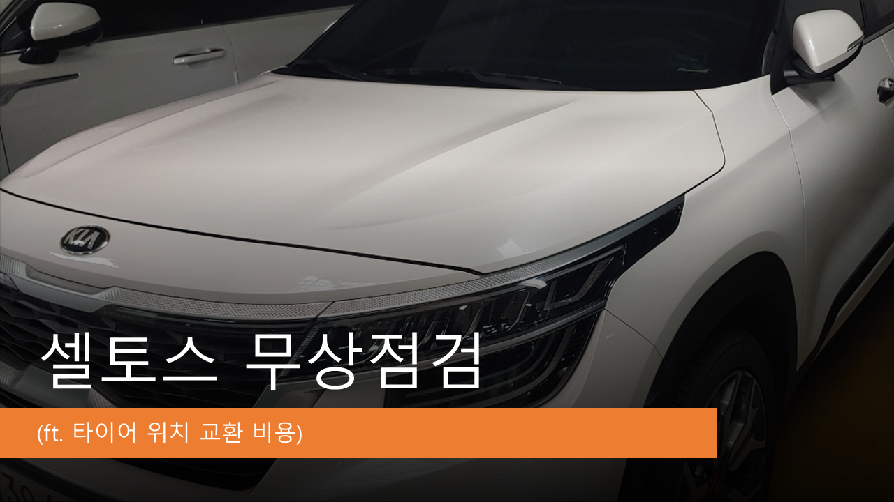 셀토스 이미지