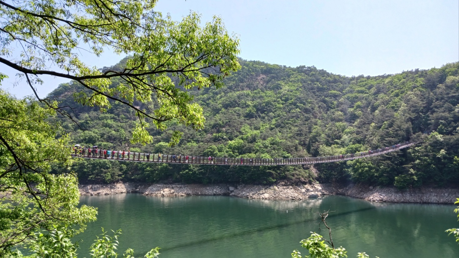 제천옥순봉출렁다리 사진