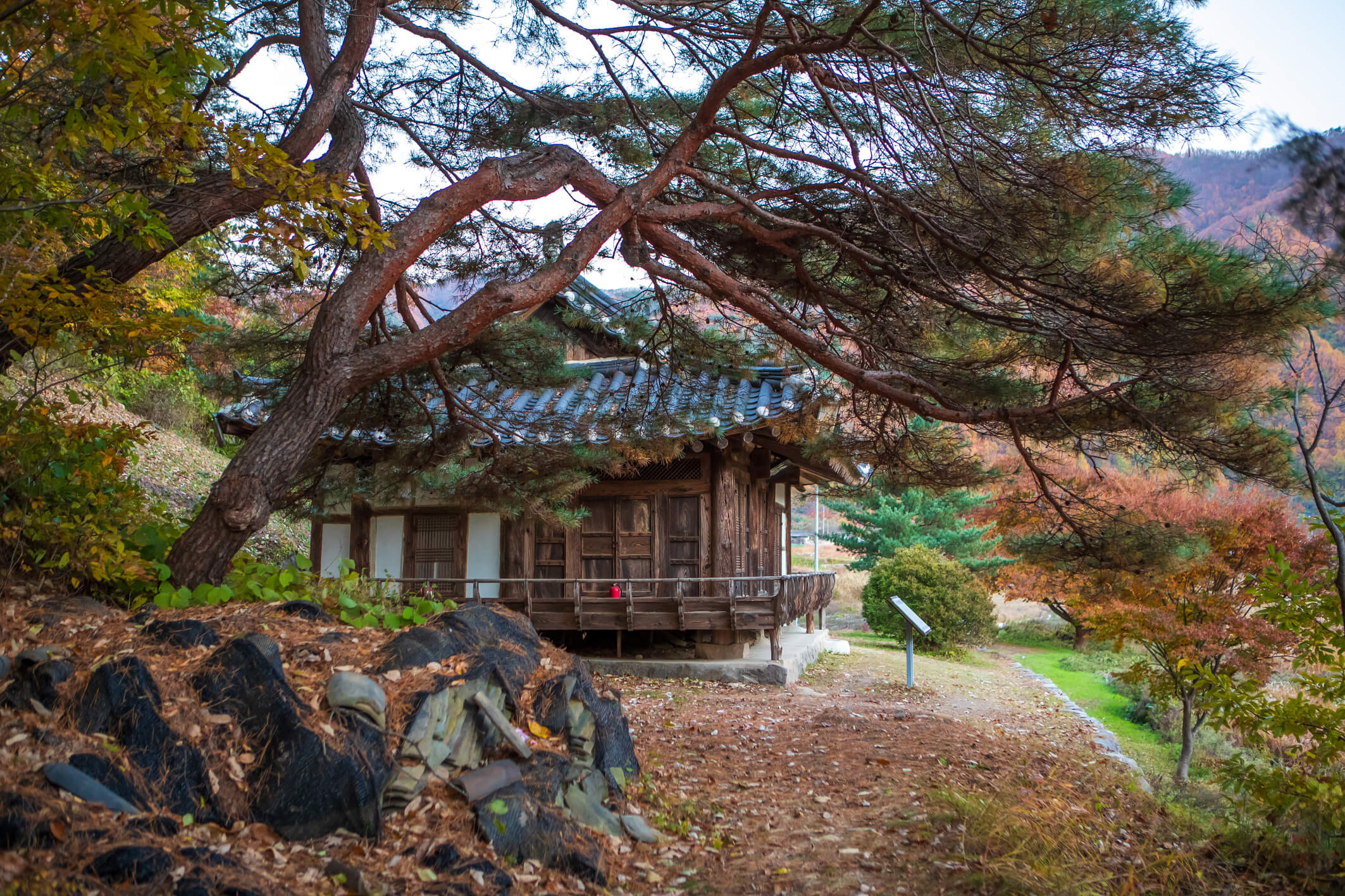 고산정