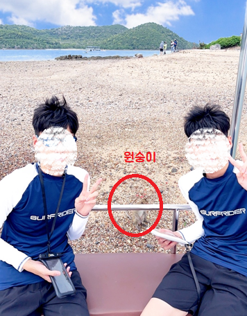 원숭이섬 먹이주는 사진