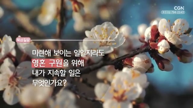 미련해 보이는 일일지라도 영혼 구원을 위해 내가 지속할 일은 무엇인가요?