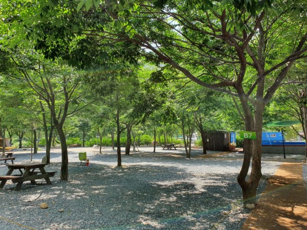 캠핑장전경