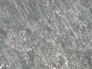 2024 장마 예상 시기