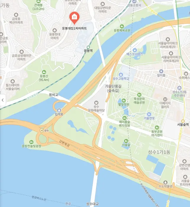 한강과 중랑천, 서울숲 조망이 가능한 응봉동 대림1차아파트의 위치도