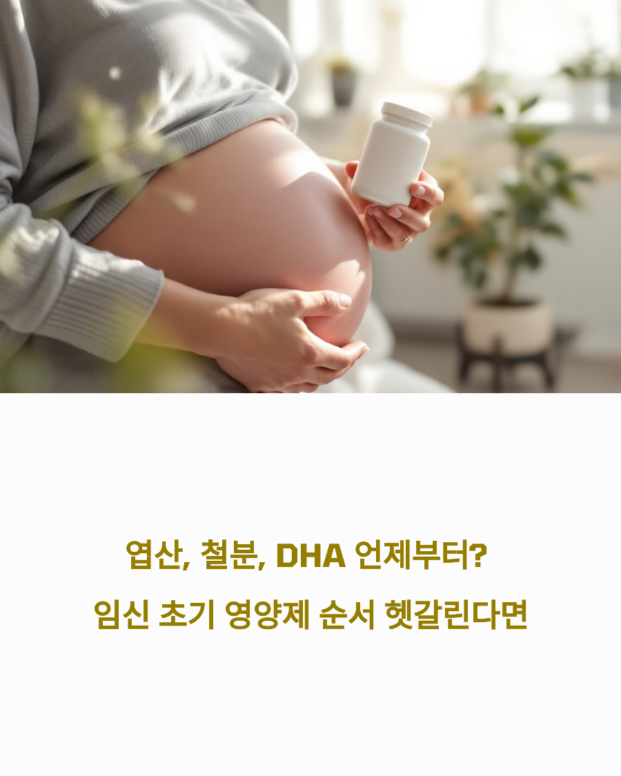 엽산, 철분, DHA 언제부터 임신 초기 영양제 순서 헷갈린다면