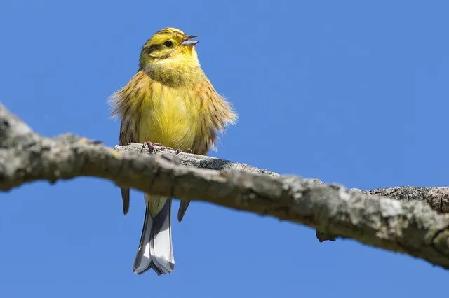 맥심 모카골드 마일드 커피믹스 리뉴얼 맛 비교_9