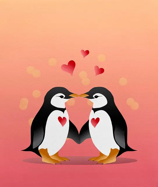 장애인연금 신청