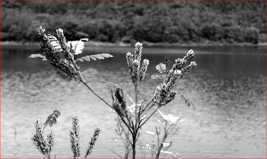 조정 후의 이미지