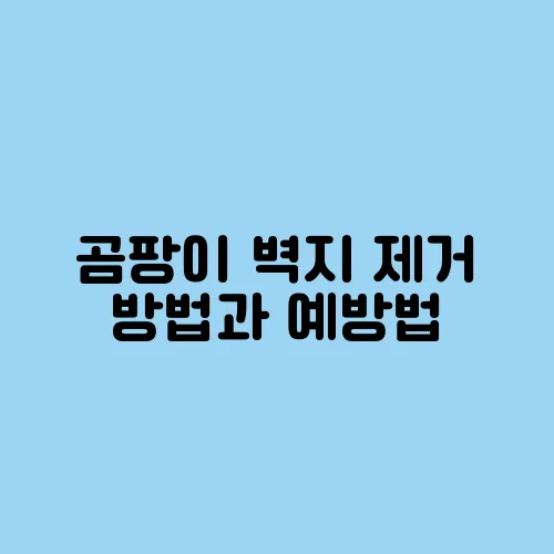 곰팡이 벽지 제거 방법과 예방법