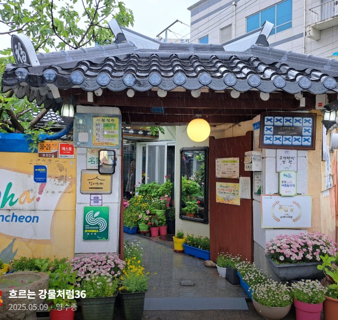 한국기행-순천-대원식당-할매밥됩니까