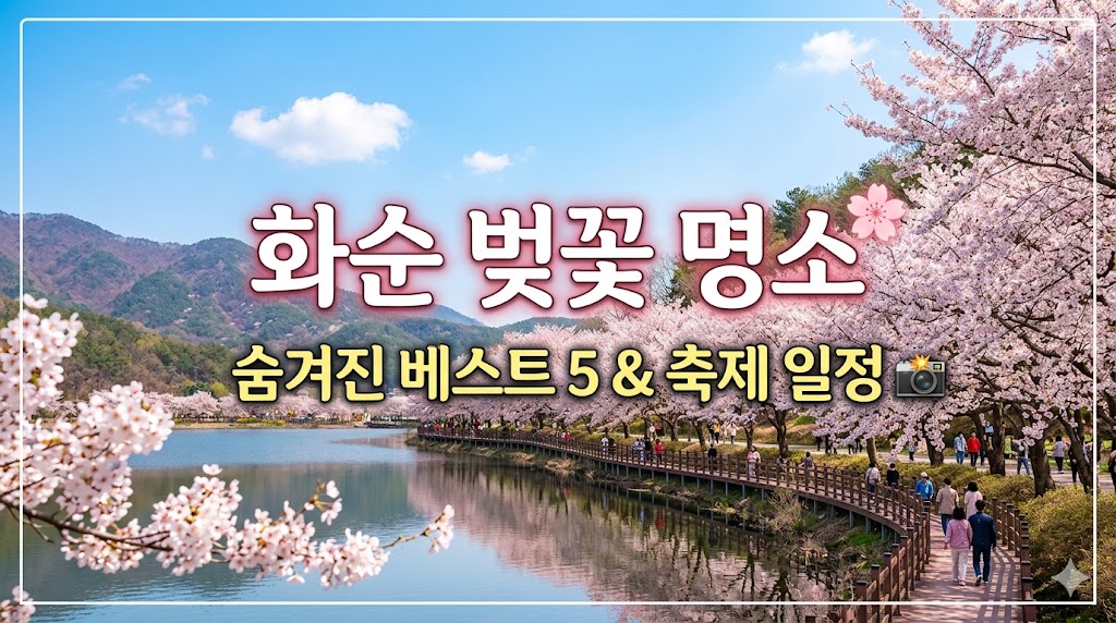 화순 벚꽃 명소