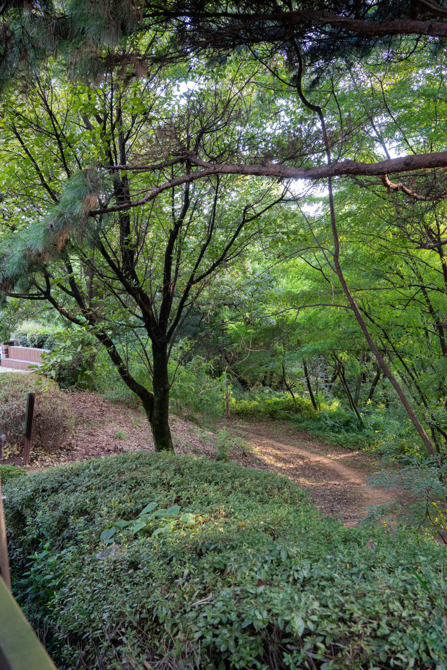 퉁소바위공원 올라가는길