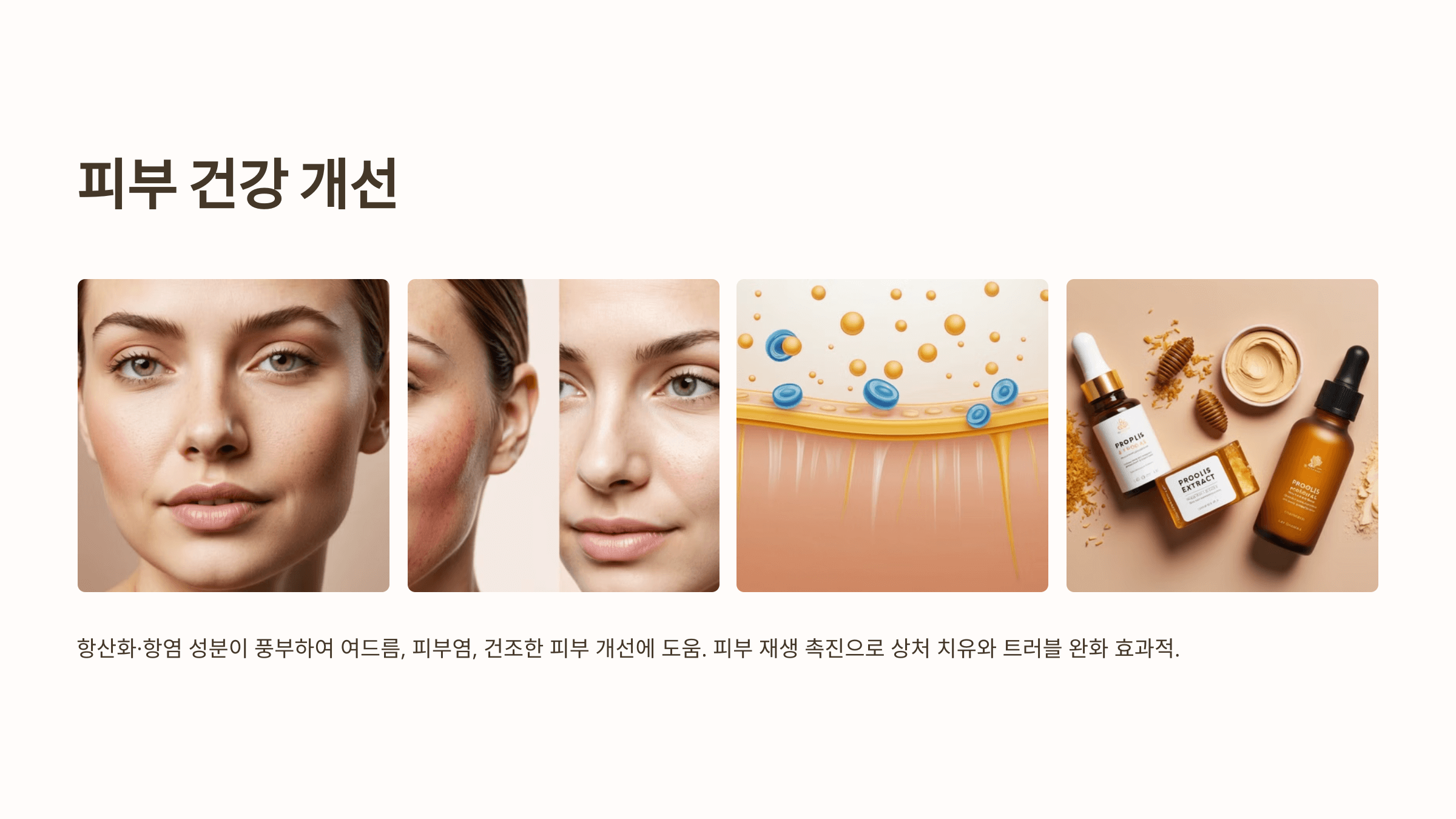 프로폴리스와 관련된 사진입니다.