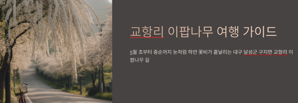 교향리 이팝나무 여행가이드