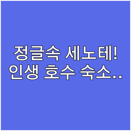 멕시코 툴룸 코바 여행 정글 속 세노..