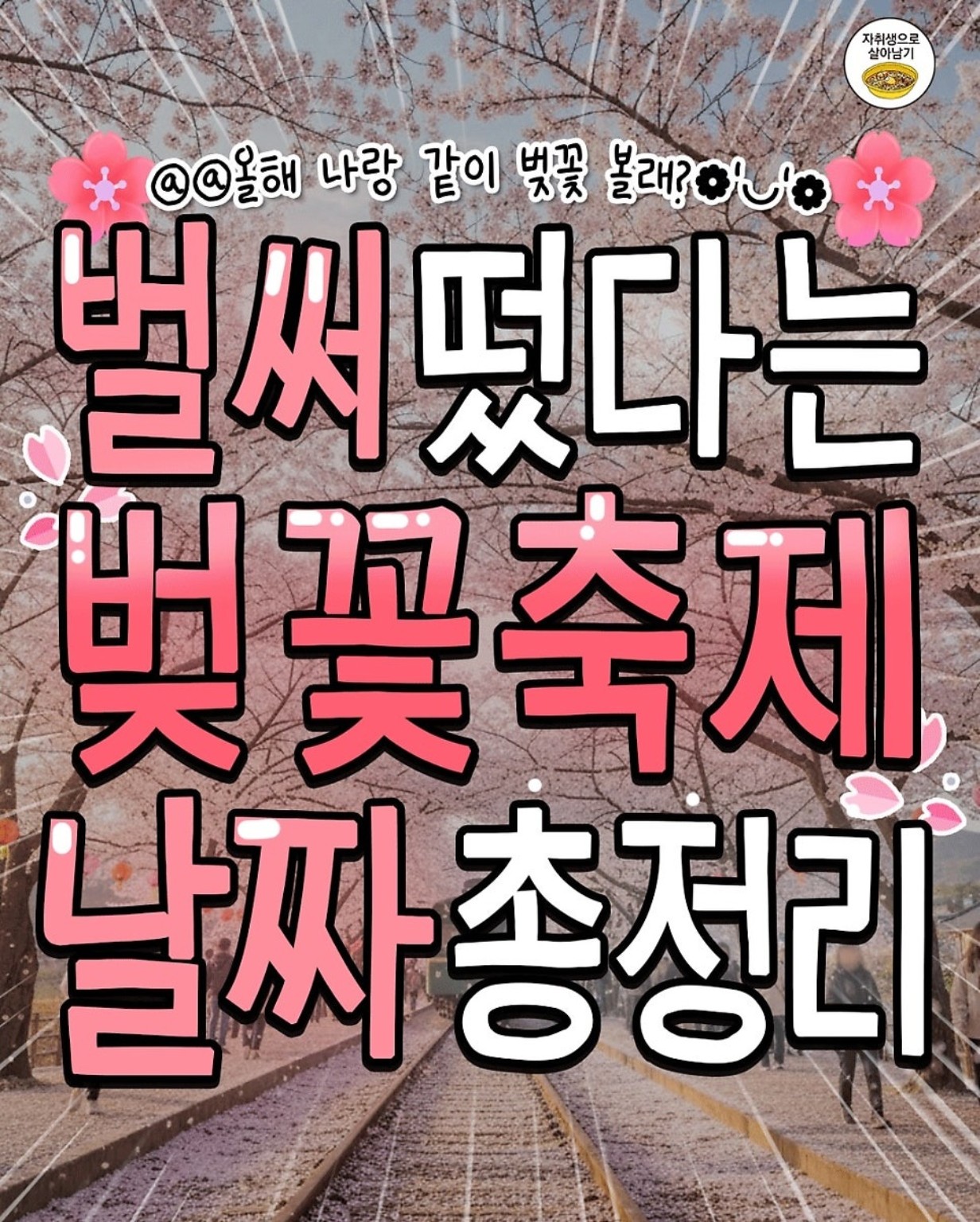 2026 전국 벚꽃축제 일정 총정리, 올해 어디로 갈지 미리 체크하세요