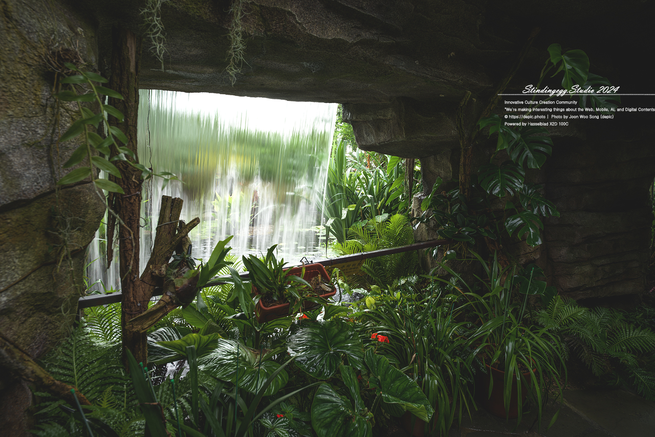 #식물 #나무 #수목원 #세종 #세종수목원 #피노키오