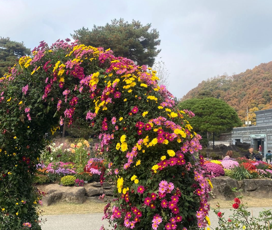 벽초지 수목원