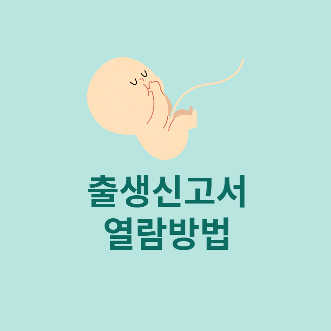 출생신고서 열람방법