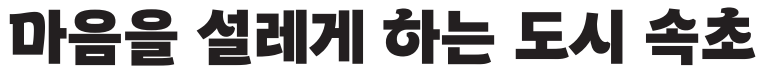 속초바다 돋움체