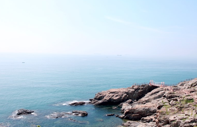 남해 다랭이마을 수국길 + 남해시장