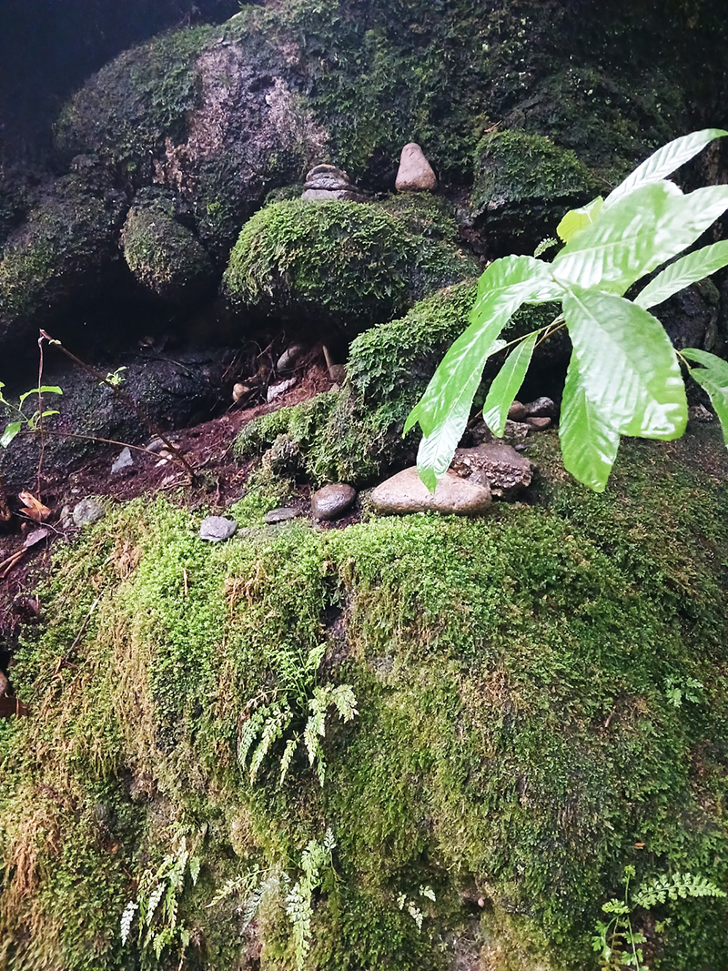 경남 쌍계사 템플스테이 신청 방법