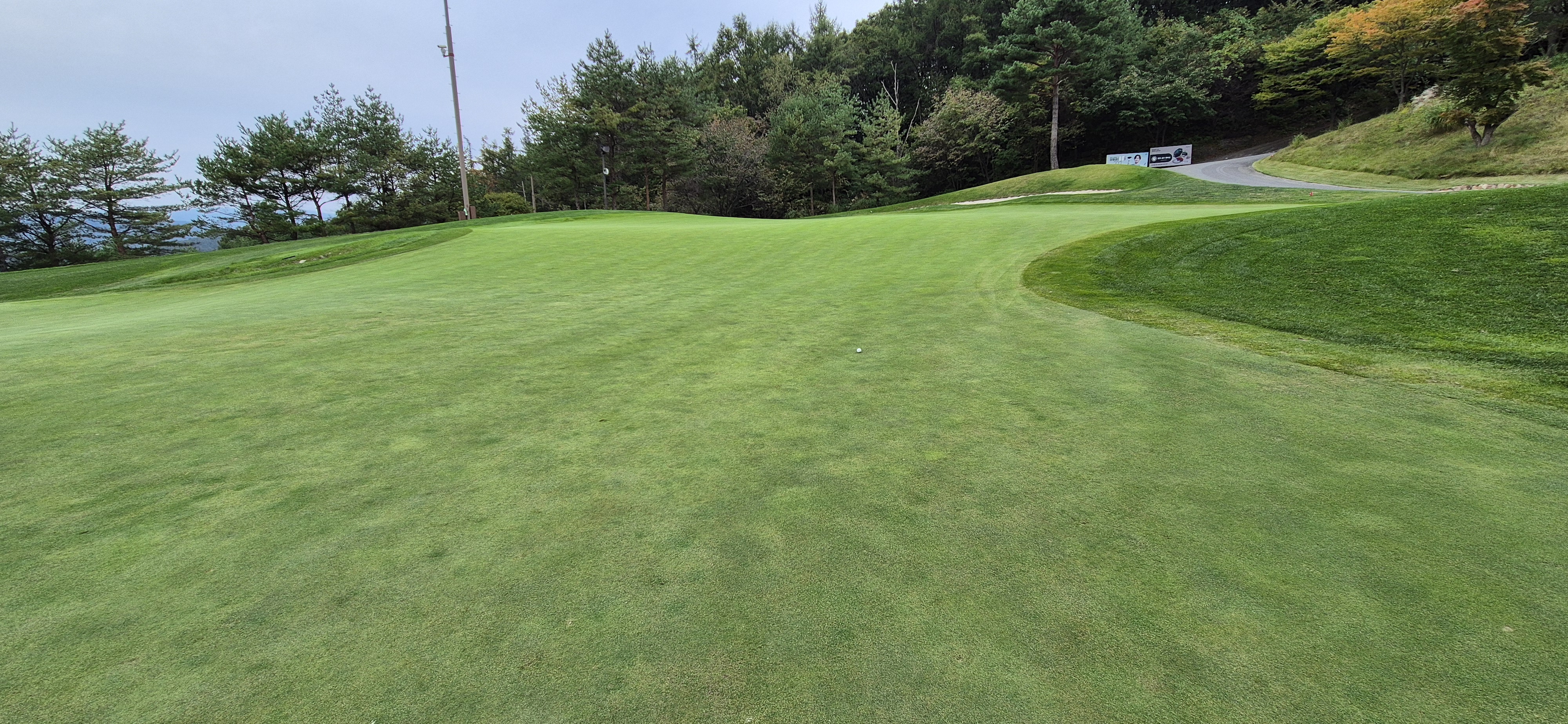 소노팰리체cc이스트