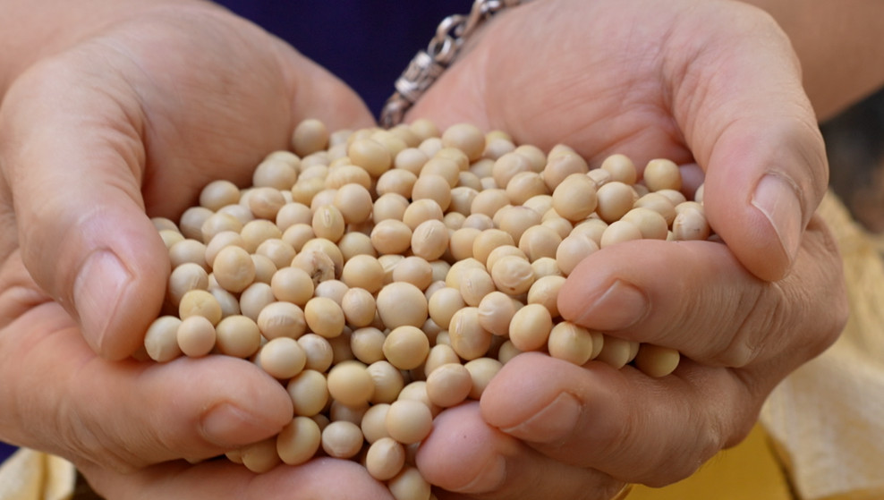 한국기행 완주 두부