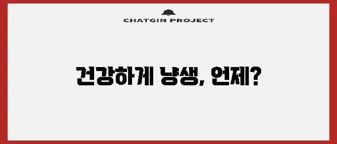 고양이 중성화 수술 시기 건강을 지키는 최고의 선택입니다!