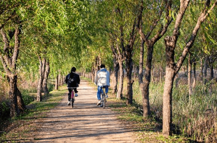 서울-따릉이-부산은뭐지-전국공공자전거지도-교통비-아끼는-꿀팁-안내-생활운동-다이어트