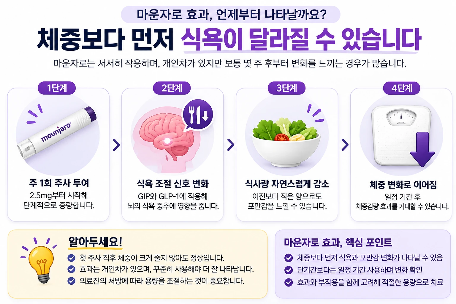 마운자로-효과가-나타나는-과정