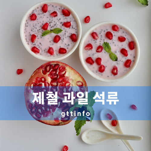 제철 과일 석류