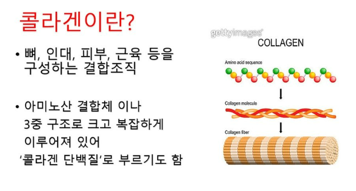 콜라겐의 효능(3)