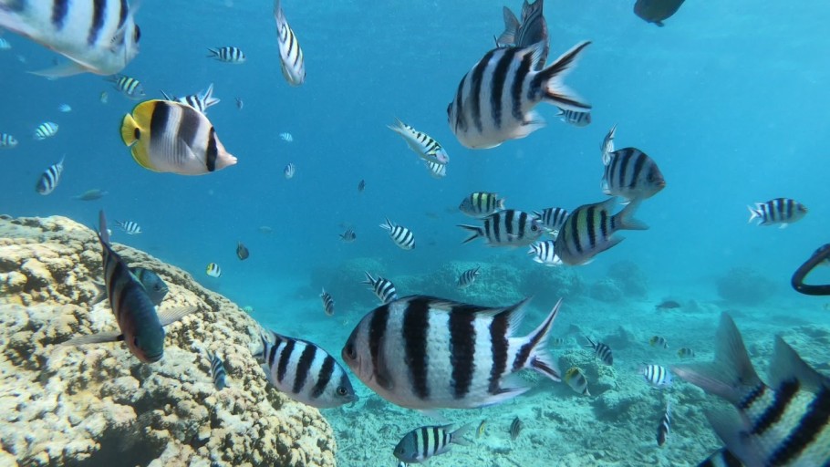 괌액티비티추천