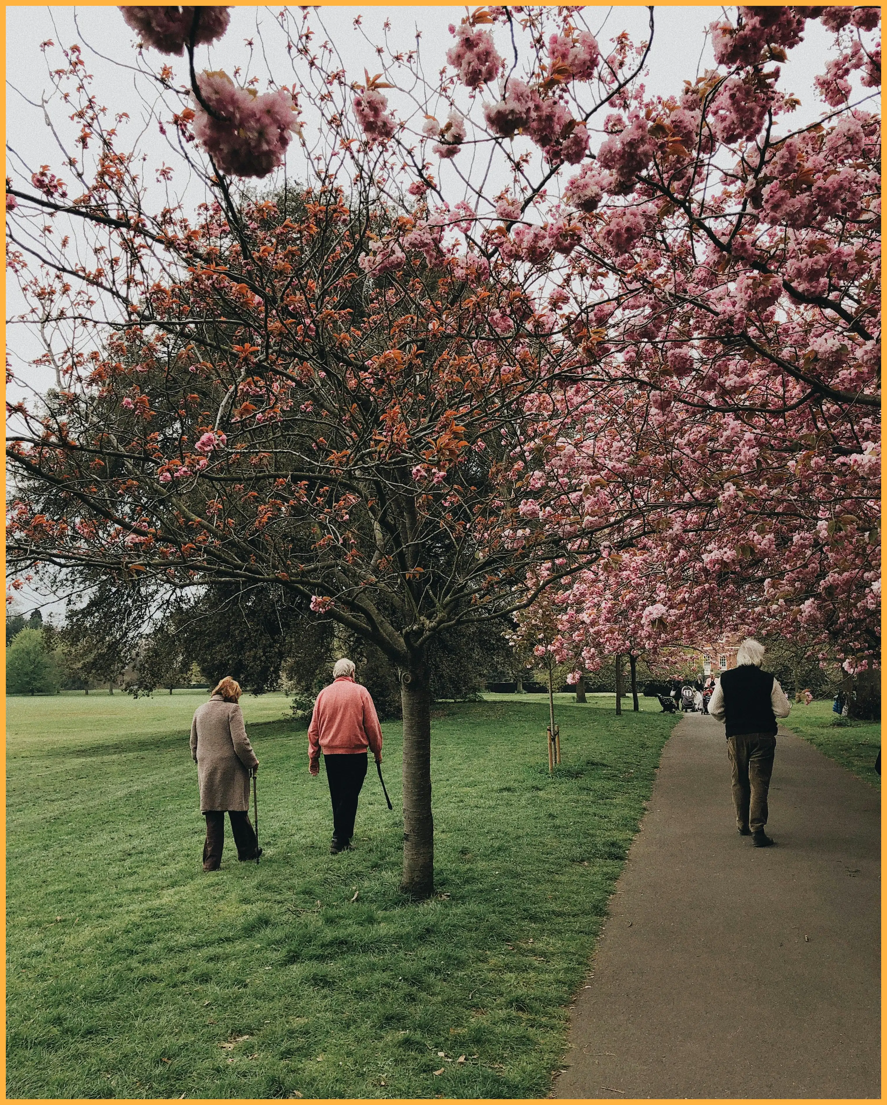 정년연장 65세 시행시기