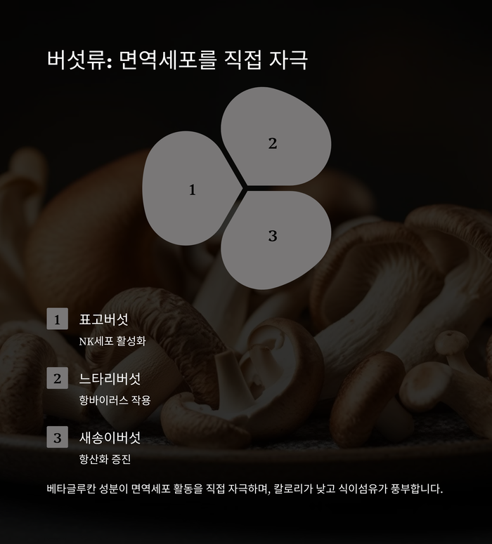 건강 의료