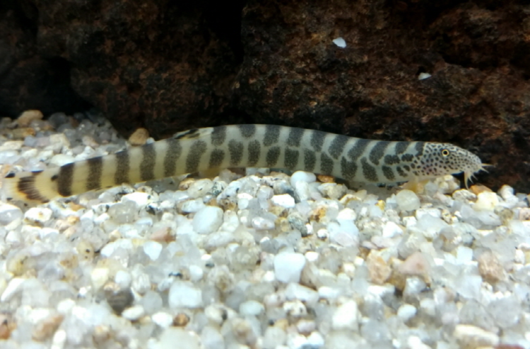 부천 자연생태공원