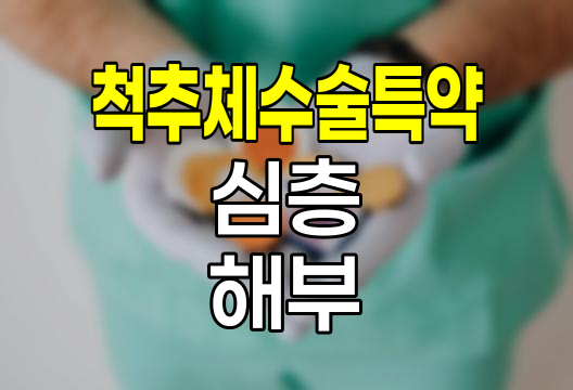 흥국생명 척추체수술특약 심층 해부