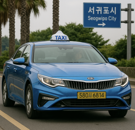제주도 교통수단 관련 사진