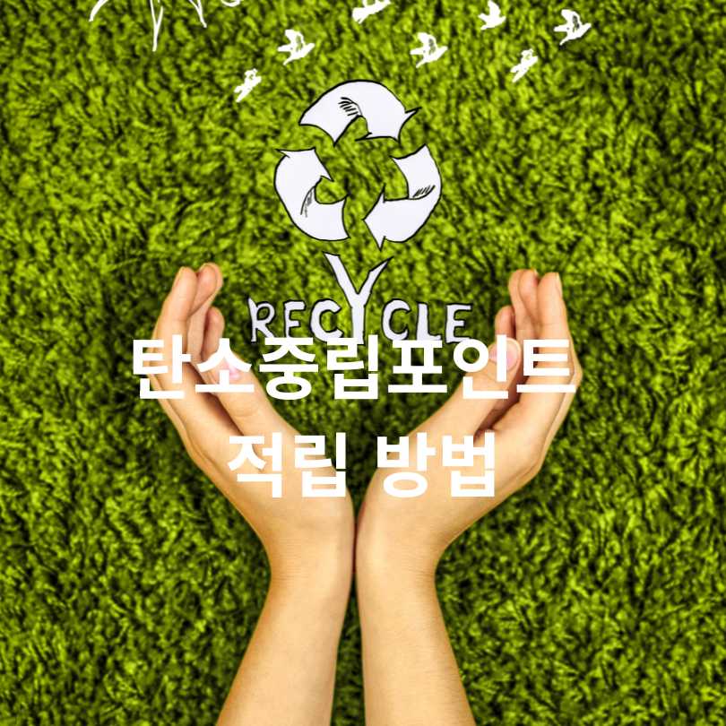 탄소중립실천포인트 적립 꿀팁!